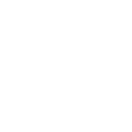 Bone Grafting